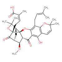 Chemical structure of (2Z)-4-[(1S,2S,15R,16S,17S,19R)-12-hydroxy-16-methoxy-8,8,21,21-tetramethyl-5-(3-methylbut-2-en-1-yl)-14,18-dioxo-3,7,20-trioxahexacyclo[15.4.1.0²,¹⁵.0²,¹⁹.0⁴,¹³.0⁶,¹¹]docosa-4,6(11),9,12-tetraen-19-yl]-2-methylbut-2-enoic acid - CSSB06744597310