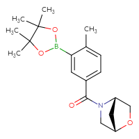Chemical structure of (1S,4S)-5-[4-methyl-3-(4,4,5,5-tetramethyl-1,3,2-dioxaborolan-2-yl)benzoyl]-2-oxa-5-azabicyclo[2.2.1]heptane - CSSB00778690215
