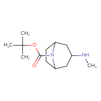 Chemical structure of tert-butyl 3-(methylamino)-8-azabicyclo[3.2.1]octane-8-carboxylate - CSSB00000744249