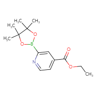 Chemical structure of ethyl 2-(4,4,5,5-tetramethyl-1,3,2-dioxaborolan-2-yl)pyridine-4-carboxylate - CSSB00010199218