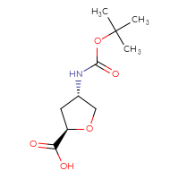 C10H17NO5