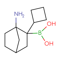 C11H20BNO2