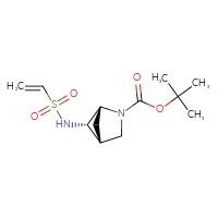 Chemical structure of tert-butyl (1R,4R,5S)-5-ethenesulfonamido-2-azabicyclo[2.1.1]hexane-2-carboxylate - CSMB09890685089