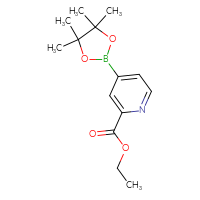 Chemical structure of ethyl 4-(4,4,5,5-tetramethyl-1,3,2-dioxaborolan-2-yl)pyridine-2-carboxylate - CSSB00010187696