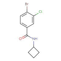 Chemical structure of 4-bromo-3-chloro-N-cyclobutylbenzamide - CSSB00012843696