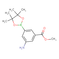 C14H20BNO4