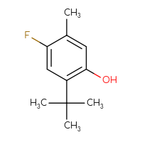 Chemical structure of 2-tert-butyl-4-fluoro-5-methylphenol - CSSB00000709894