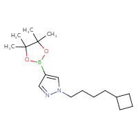 Chemical structure of 1-(4-cyclobutylbutyl)-4-(4,4,5,5-tetramethyl-1,3,2-dioxaborolan-2-yl)-1H-pyrazole - CSSB17440022371