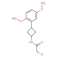 Chemical structure of 2-chloro-N-[3-(2,5-dimethoxyphenyl)cyclobutyl]acetamide - CSSB21332097507
