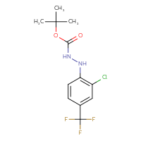 Chemical structure of N'-[2-chloro-4-(trifluoromethyl)phenyl](tert-butoxy)carbohydrazide - CSSB21331812421