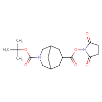 Chemical structure of 3-tert-butyl 7-(2,5-dioxopyrrolidin-1-yl) 3-azabicyclo[3.3.1]nonane-3,7-dicarboxylate - CSSB20270269241
