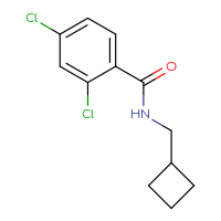 Chemical structure of 2,4-dichloro-N-(cyclobutylmethyl)benzamide - CSSB00093271246