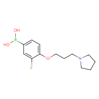 C13H19BFNO3