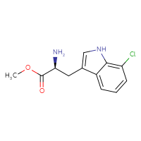 Chemical structure of methyl (2S)-2-amino-3-(7-chloro-1H-indol-3-yl)propanoate - CSSB06359885895