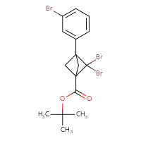 Chemical structure of tert-butyl 2,2-dibromo-3-(3-bromophenyl)bicyclo[1.1.1]pentane-1-carboxylate - CSSB20620691312
