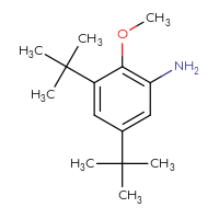 Chemical structure of 3,5-di-tert-butyl-2-methoxyaniline - CSSB00000741599