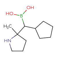 C11H22BNO2