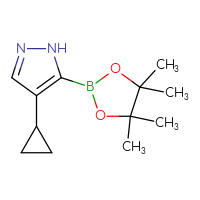 Chemical structure of 4-cyclopropyl-5-(4,4,5,5-tetramethyl-1,3,2-dioxaborolan-2-yl)-1H-pyrazole - CSSB00010780538