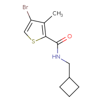 Chemical structure of 4-bromo-N-(cyclobutylmethyl)-3-methylthiophene-2-carboxamide - CSSB00071102161
