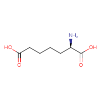 C7H13NO4