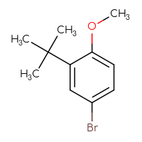 Chemical structure of 4-bromo-2-tert-butyl-1-methoxybenzene - CSSB00009999306