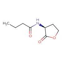 Chemical structure of N-[(3S)-2-oxooxolan-3-yl]butanamide - CSSB00016211656