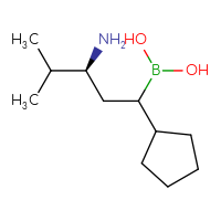 C11H24BNO2