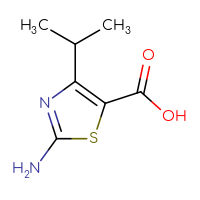Chemical structure of 2-amino-4-(propan-2-yl)-1,3-thiazole-5-carboxylic acid - CSSB00012176085