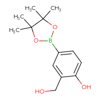C13H19BO4