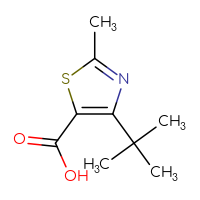 Chemical structure of 4-tert-butyl-2-methyl-1,3-thiazole-5-carboxylic acid - CSSB00012002511