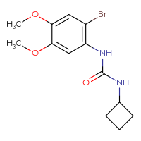 Chemical structure of 1-(2-bromo-4,5-dimethoxyphenyl)-3-cyclobutylurea - CSSB00059838903