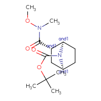 Chemical structure of rac-tert-butyl (1R,2S,4S)-2-[methoxy(methyl)carbamoyl]-7-azabicyclo[2.2.1]heptane-7-carboxylate - CSSB21291563897