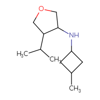 C12H23NO