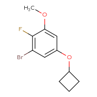 C11H12BrFO2