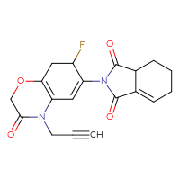 Chemical structure of 2-[7-fluoro-3-oxo-4-(prop-2-yn-1-yl)-3,4-dihydro-2H-1,4-benzoxazin-6-yl]-2,3,3a,4,5,6-hexahydro-1H-isoindole-1,3-dione - CSSB00161115969