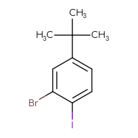 Chemical structure of 2-bromo-4-tert-butyl-1-iodobenzene - CSSB00010212221