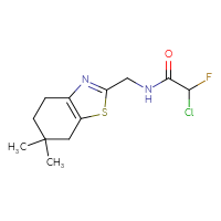 Chemical structure of 2-chloro-N-[(6,6-dimethyl-4,5,6,7-tetrahydro-1,3-benzothiazol-2-yl)methyl]-2-fluoroacetamide - CSSB21332124693