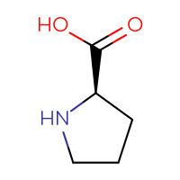 C5H9NO2