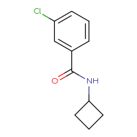 Chemical structure of 3-chloro-N-cyclobutylbenzamide - CSSB00024400446