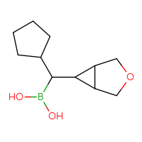 C11H19BO3