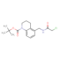 Chemical structure of tert-butyl 5-[(2-chloroacetamido)methyl]-1,2,3,4-tetrahydroquinoline-1-carboxylate - CSSB01886690305