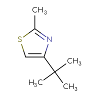 Chemical structure of 4-tert-butyl-2-methyl-1,3-thiazole - CSSB00000240323