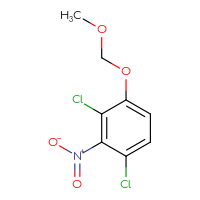 Chemical structure of 1,3-dichloro-4-(methoxymethoxy)-2-nitrobenzene - CSSB00120526569
