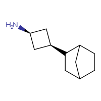 C11H19N