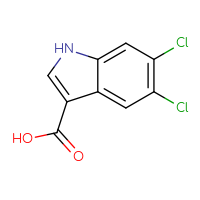 Chemical structure of 5,6-dichloro-1H-indole-3-carboxylic acid - CSSB00011093721