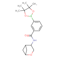 Chemical structure of N-{2-oxabicyclo[3.1.1]heptan-4-yl}-3-(4,4,5,5-tetramethyl-1,3,2-dioxaborolan-2-yl)benzamide - CSSB02229498550