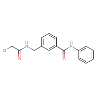 Chemical structure of 3-[(2-chloroacetamido)methyl]-N-phenylbenzamide - CSSB01445801536