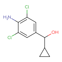 C10H11Cl2NO