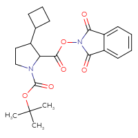 Chemical structure of 1-tert-butyl 2-(1,3-dioxo-2,3-dihydro-1H-isoindol-2-yl) 3-cyclobutylpyrrolidine-1,2-dicarboxylate - CSSB06641239180