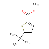 Chemical structure of methyl 5-tert-butylthiophene-2-carboxylate - CSSB00000082144